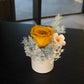 Daisy - Everlasting Preserved Flower in Vase