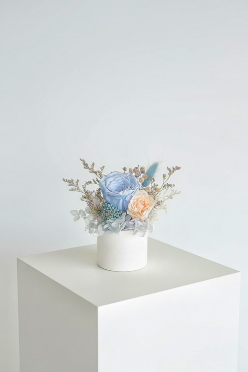 Blue Nude - Everlasting Preserved Flower in Vase