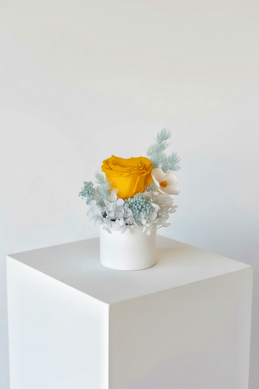 Daisy - Everlasting Preserved Flower in Vase