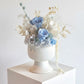 Nebulae - Everlasting Preserved Flower in Vase