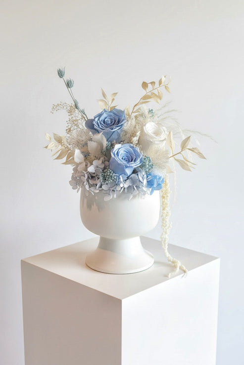 Nebulae - Everlasting Preserved Flower in Vase