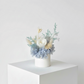 Snow - Everlasting Preserved Flower in Vase