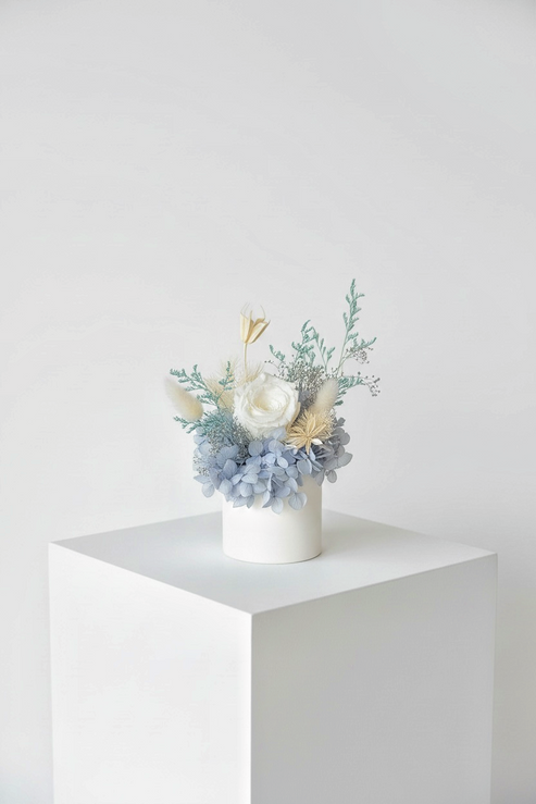 Snow - Everlasting Preserved Flower in Vase