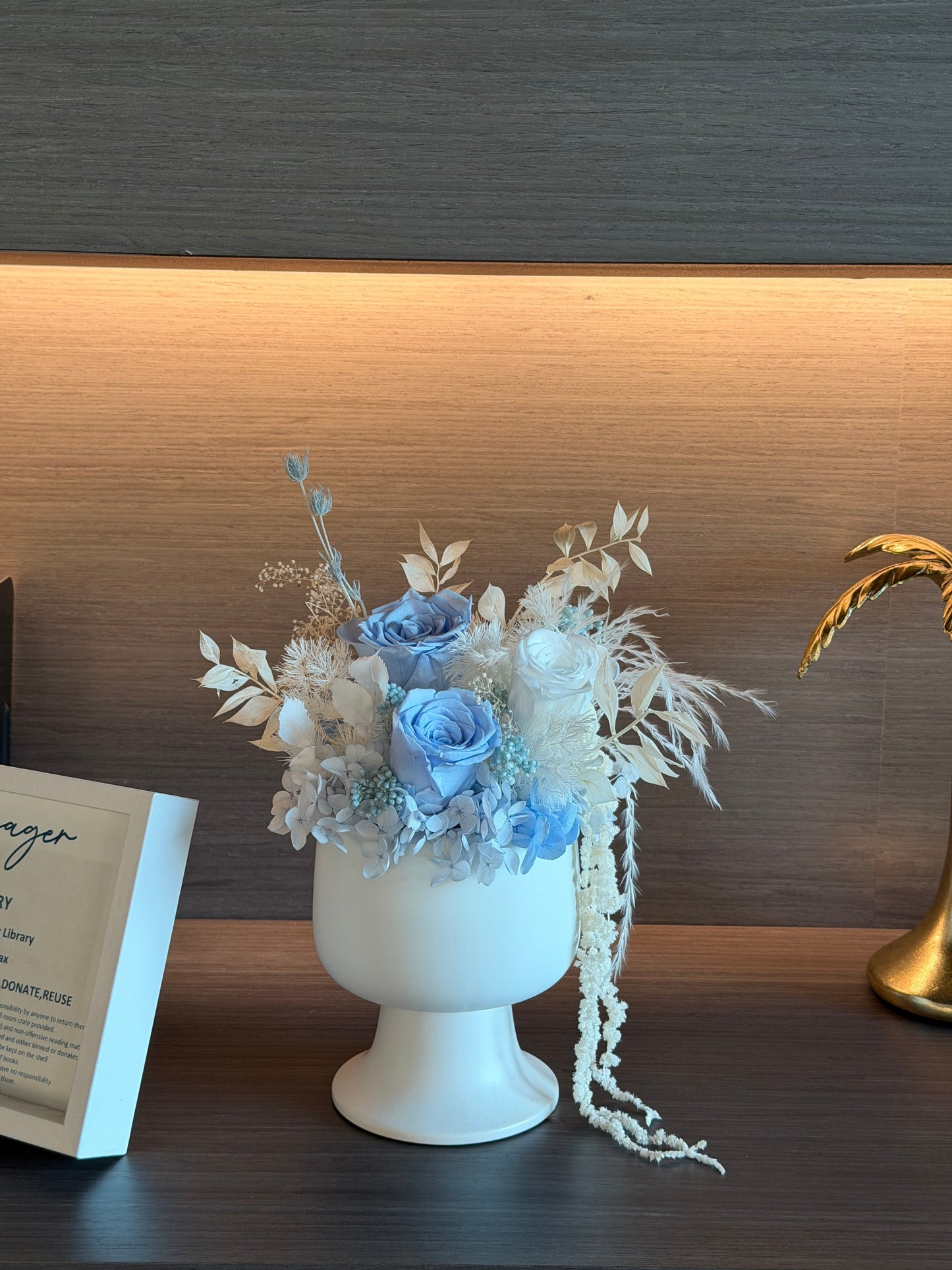 Nebulae - Everlasting Preserved Flower in Vase