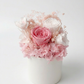 Beloved - Everlasting Preserved Flower in Vase