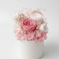 Beloved - Everlasting Preserved Flower in Vase