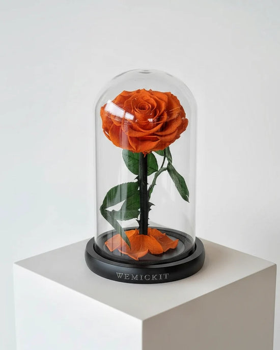 Single Stem Everlasting Preserved Flower Glass Dome - Orange