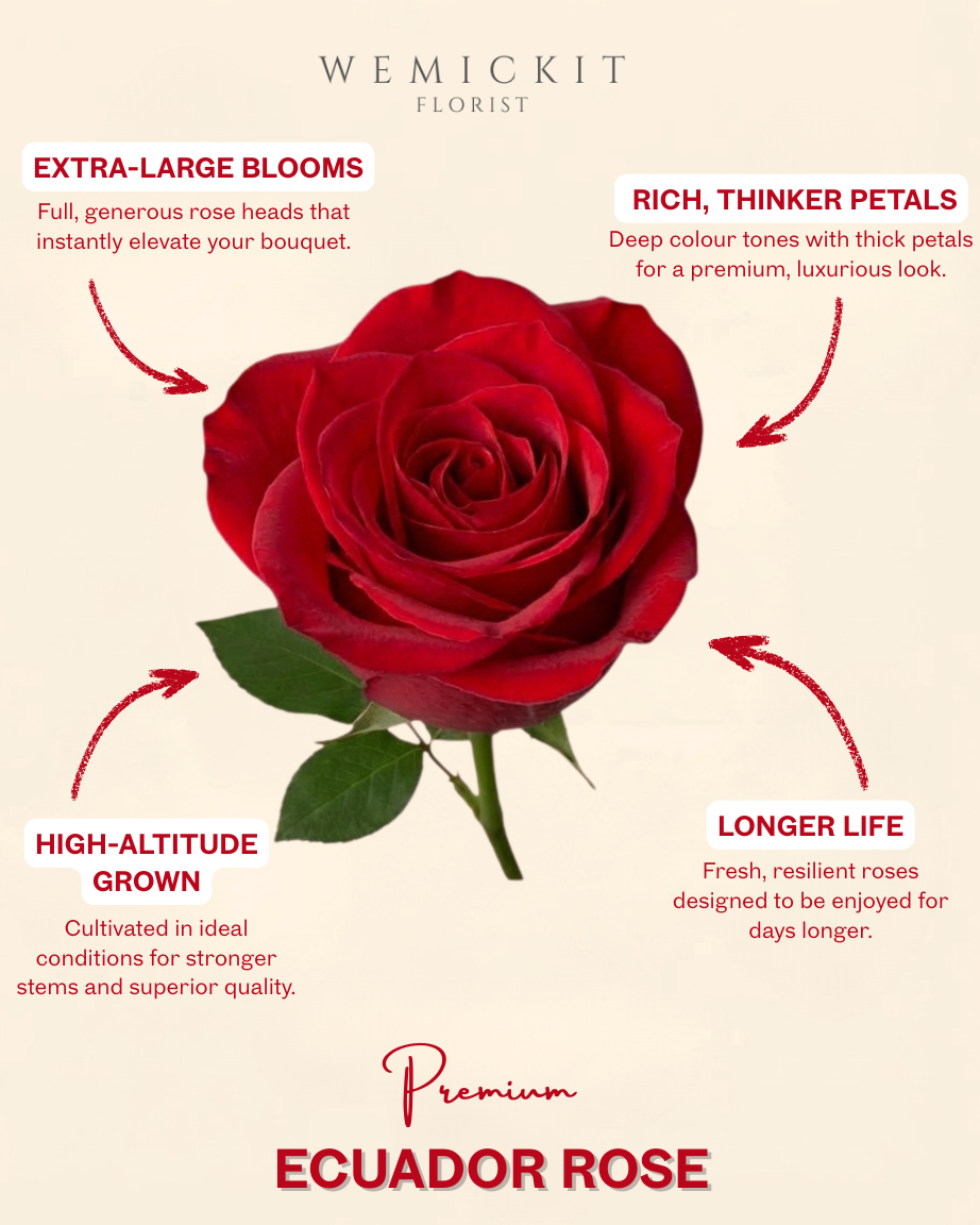 2026 Valentine’s Day Fresh Roses | Same-Day Delivery Melbourne | Amélie