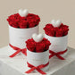 Eternal Love Box - Red WEMICKIT - Melbourne Flower Delivery