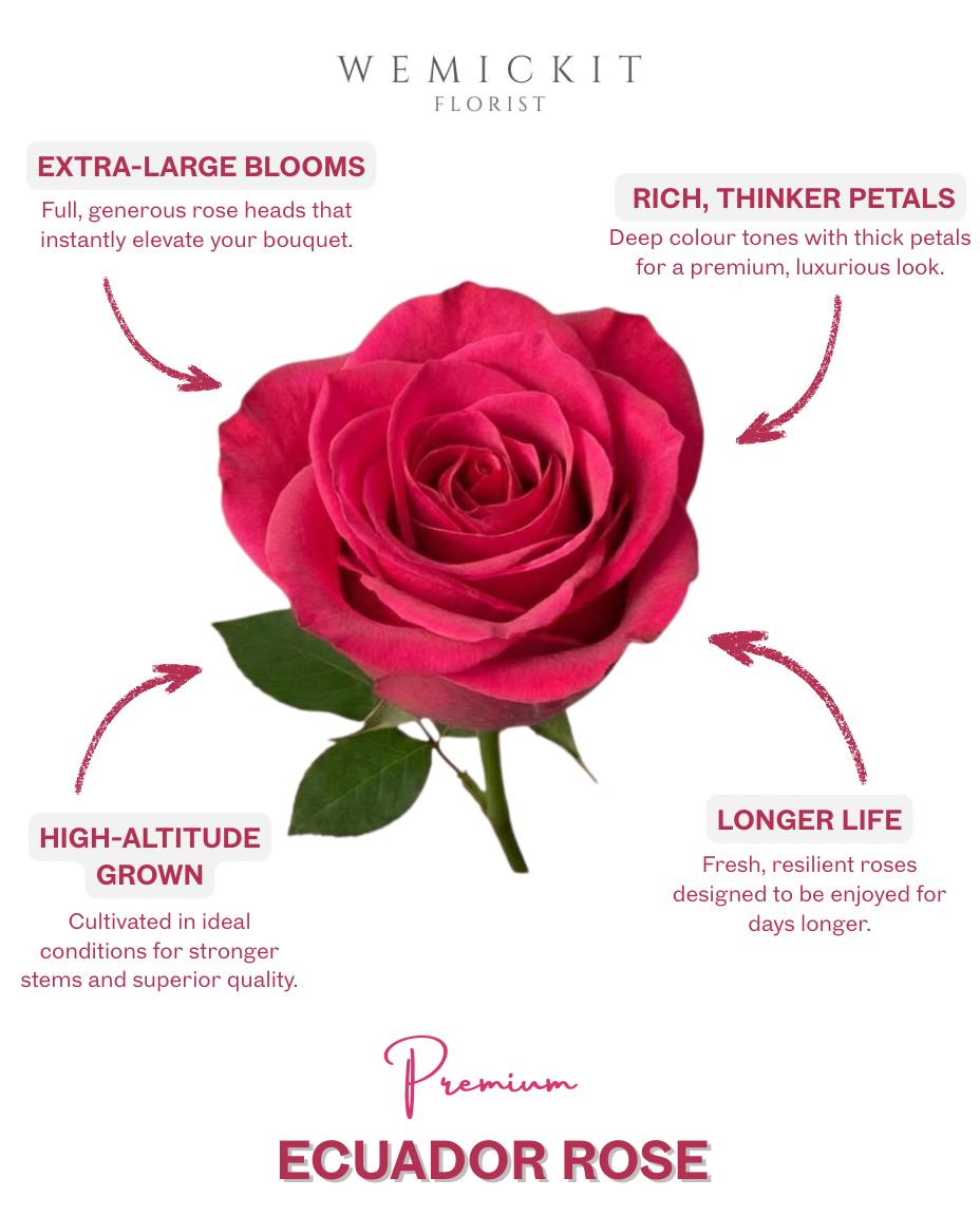2026 Valentine’s Day Fresh Roses | Same-Day Delivery Melbourne | Arabella