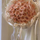 Elara Peach | Fresh Roses Bouquet