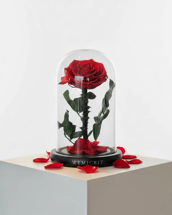 Single Stem Everlasting Preserved Flower Glass Dome - Red