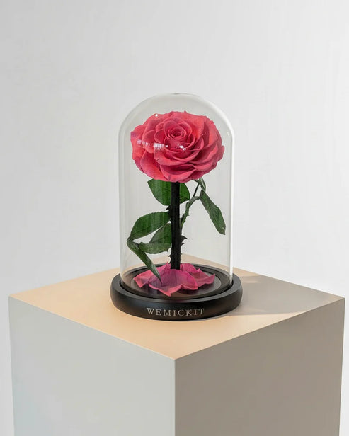 Single Stem Everlasting Preserved Flower Glass Dome - Pink