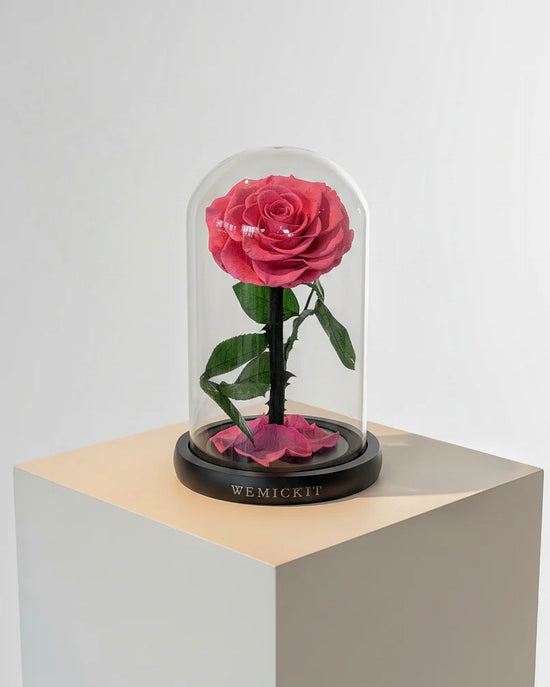 Single Stem Everlasting Preserved Flower Glass Dome - Pink