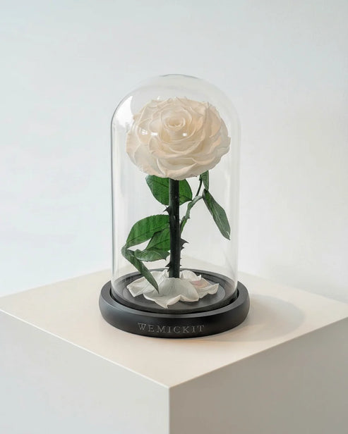 Single Stem Everlasting Preserved Flower Glass Dome - White