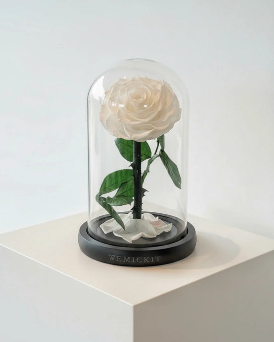Single Stem Everlasting Preserved Flower Glass Dome - White