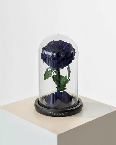 Single Stem Everlasting Preserved Flower Glass Dome - Dark Blue