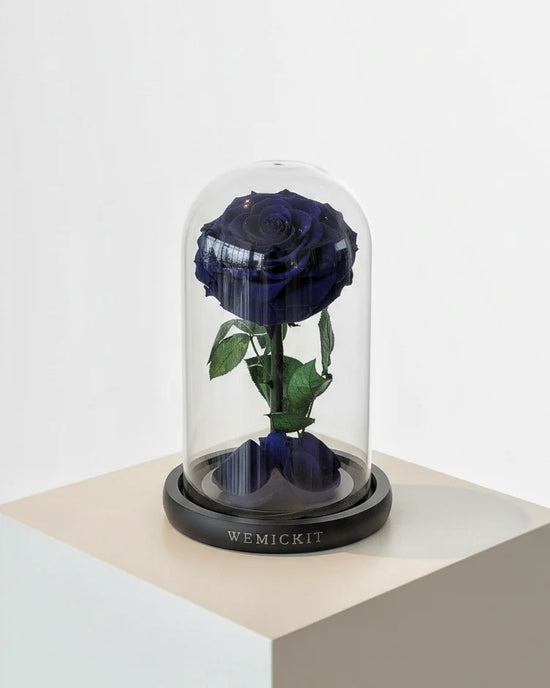 Single Stem Everlasting Preserved Flower Glass Dome - Dark Blue
