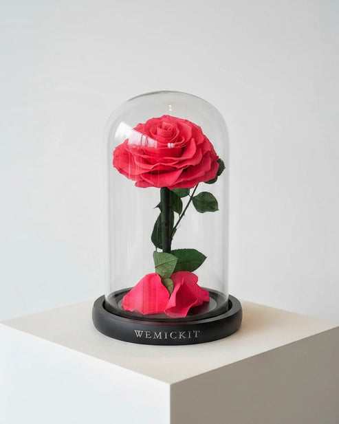 Single Stem Everlasting Preserved Flower Glass Dome - Hot Pink