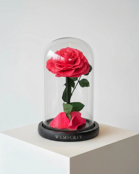 Single Stem Everlasting Preserved Flower Glass Dome - Hot Pink
