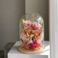 Petal Poetry | Everlasting Preserved Flower in Glass Dome
