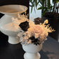 Enigma - Everlasting Preserved Flower in Vase