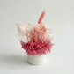 Mila - Everlasting Preserved Flower in Vase