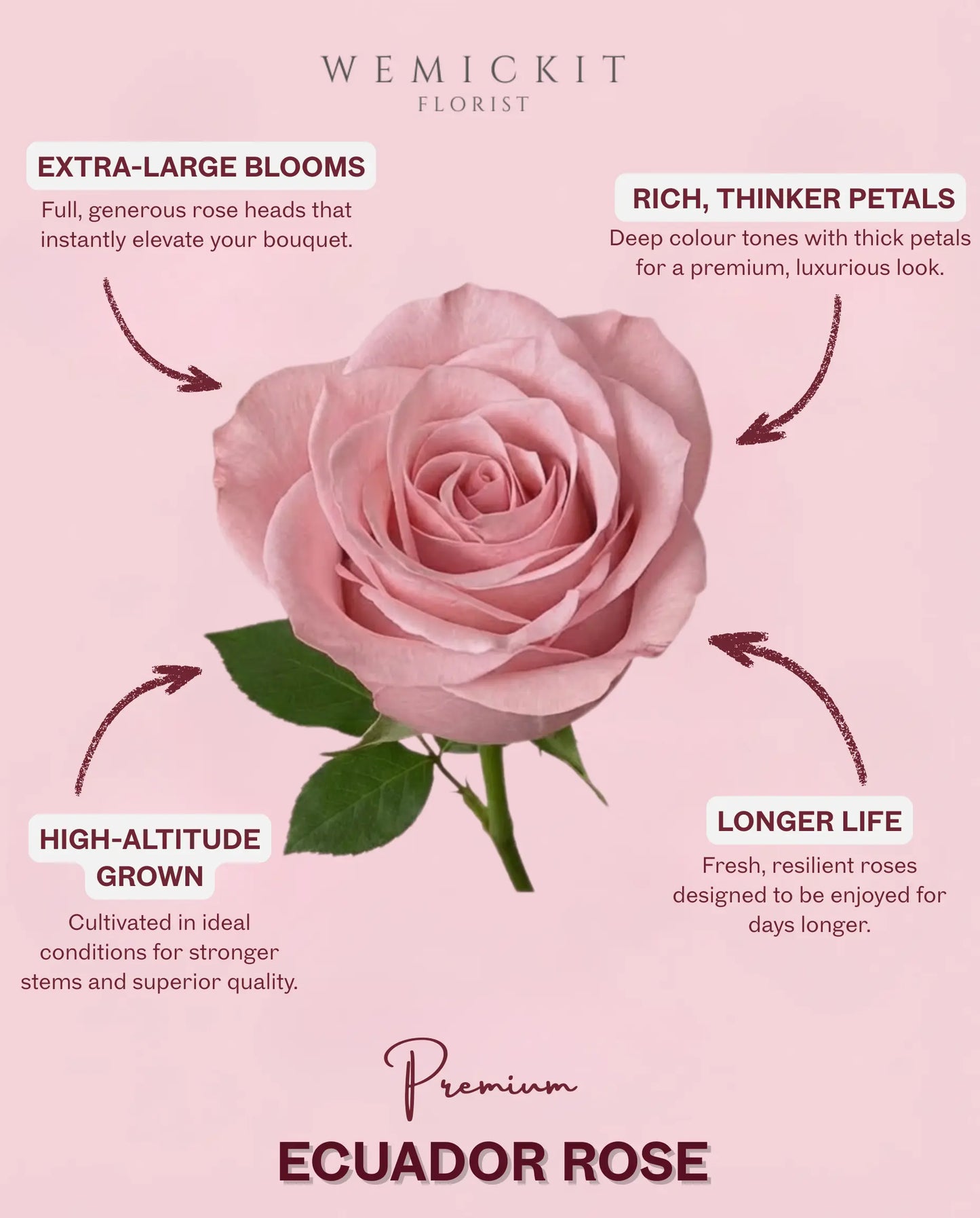 Valentina | Fresh Flower Bouquet WEMICKIT - Melbourne Flower Delivery