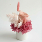 Mila - Everlasting Preserved Flower in Vase